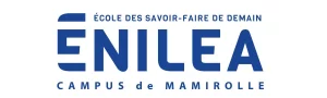 Logo enilea